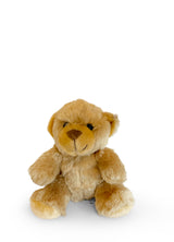 The Zone Small Teddy with Mini Gymnastics Leotard